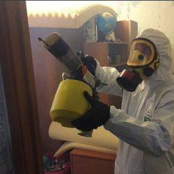 Уничтожение клопов в квартире. Ташара